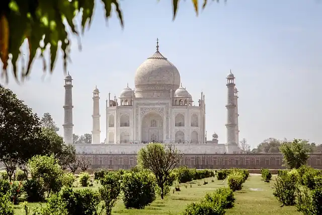eSIMs & Roaming: Telcos vs. Travel eSIMs Compete for Indian Travelers