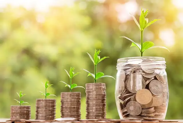 LIC, SBI, and RCom: Updates on Finance and Insolvency