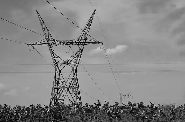 COAI: Mobile Tariff Hike Advocated Amid Rising Network Costs
